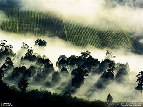 21 Of The Best Nature Photo Entries To The 2014 National Geographic