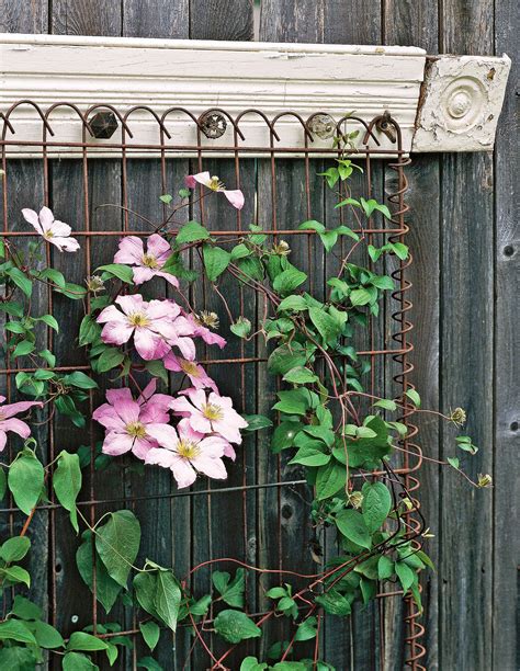 18 Wall Trellis Ideas For A Gorgeous Display Of Flowering Vines