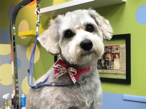 Gallery | Kelly's Pet Boutique