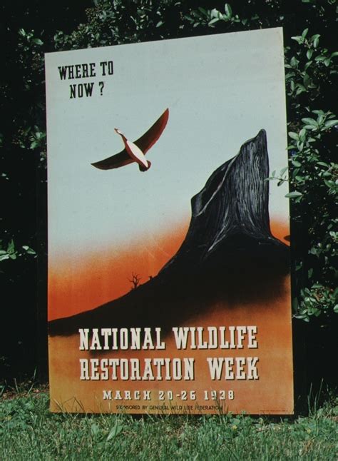Designating a Week for Wildlife • The National Wildlife Federation Blog : The National Wildlife ...