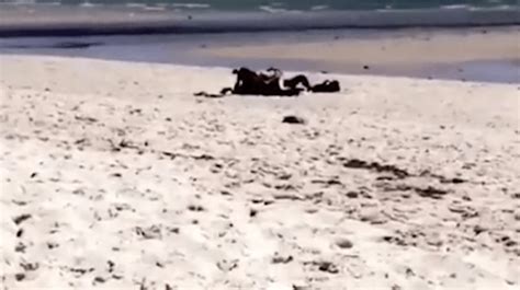 Couple Filmed Having Sex On Adelaide Beach Without A Care In The World
