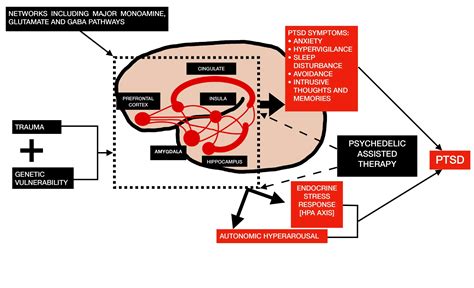 Cureus The Efficacy Of Psychedelic Assisted Therapy In Managing Post