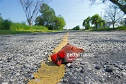 Dead Northern Cardinal Bird On A Road Stock Photo | Getty Images