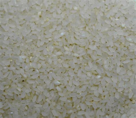 White Rice Close Up Rice Grains As A Background Stock Image Image Of