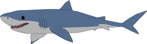 Download Great White Shark Clipart Mako Shark Great