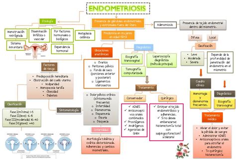Blog De Evidencias De La Materia De Ginecología Y Obstetricia