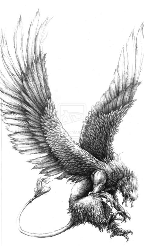 Griffon By Xiphoidlies On Deviantart Griffin Tattoo Mythology
