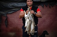 The rabbit hunters | The Wider Image | Reuters