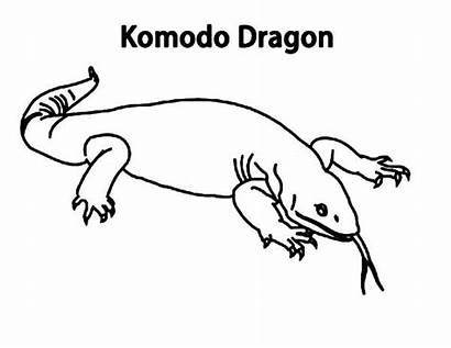 Komodo Dragon Coloring Indonesia Wild Kratts Island