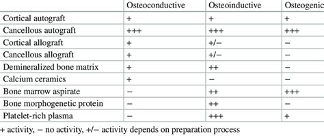 Parts Of Bones And Their Specific Osteoconductive Osteoinductive And