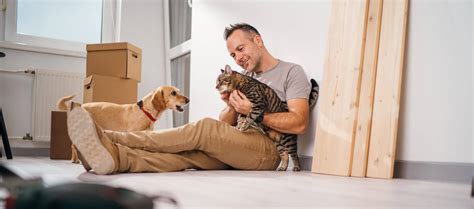 Tips for Moving with Pets from Pet Care Specialists