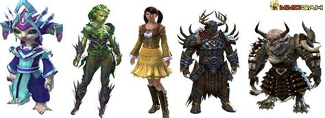 Guide To Races In Guild Wars 2