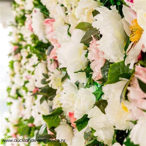 Flower Wall — Auckland Event Hire