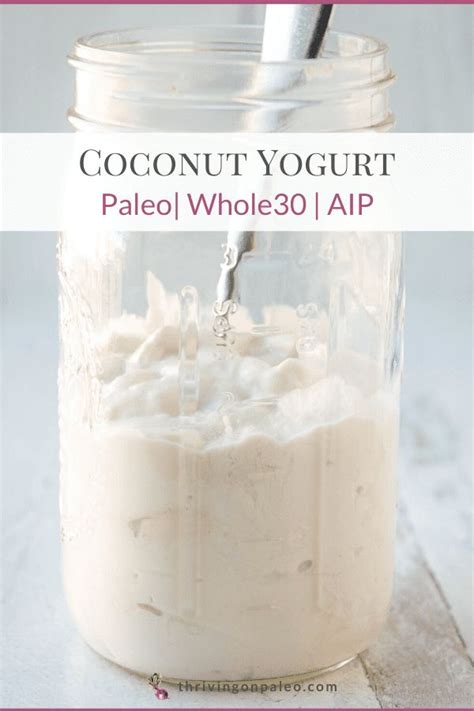 Coconut Yogurt Paleo Whole30 AIP Recipe Coconut Yogurt Dairy