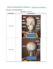 Axial And Appendicular Skeleton Rpt Docx Axial And Appendicular Skeleton Lab Report