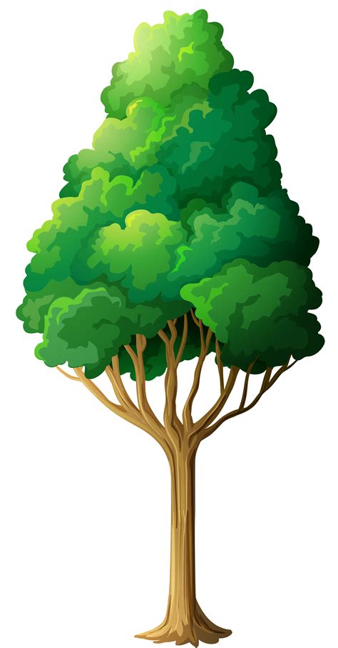 Clip Art Green Tree Png Clipart Png Download 26485072 Free