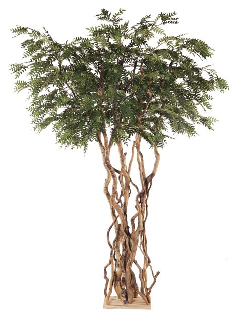 Artificial Acacia Tree Treescapes And Plantworks