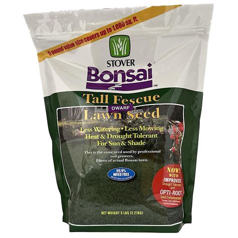 Stover Bonsai Dwarf Fescue Grass Seed The Home Depot