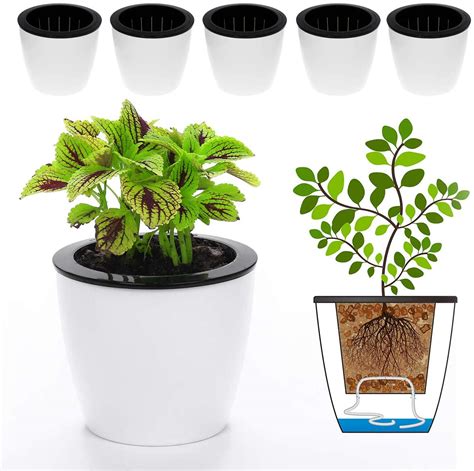 9 Best Self Watering Garden Pots To Grow Food In 2021