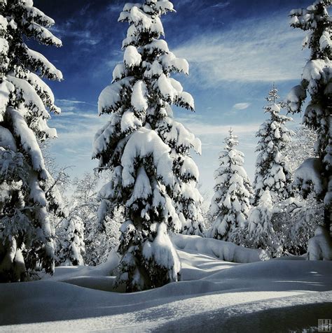Ver más ideas sobre paisajes de invierno, paisajes, paisaje nieve. 20 fascinantes paisajes de invierno | Curiosidades