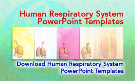 Human Respiratory System Medicine Powerpoint Templates