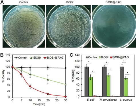 Disinfection Of Pathogenic Bacteria By The Biobrpag Gel Under