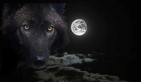 White Wolf Black Moon Set To Rise This Week In Rare Lunar Event