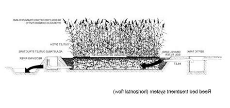 Reed Bed Sewage System Photo