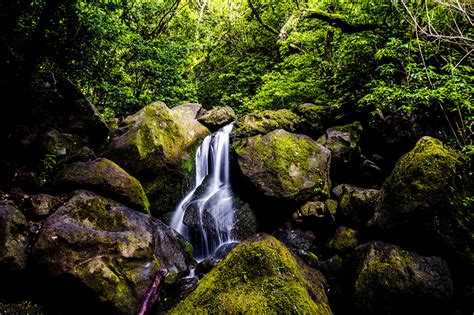 Desktop Wallpapers Hawaii Oahu Nature Waterfalls Moss Stones