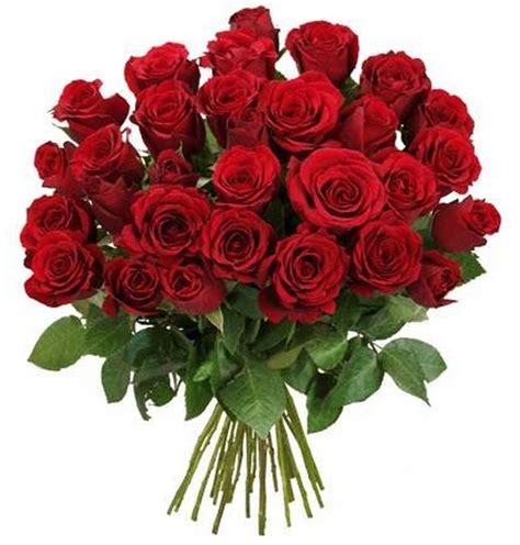Strauß Rote Rosen Blumenboutique Gelhaar