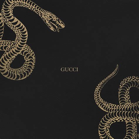 Also you can share or upload your favorite wallpapers. Gucci Snake Wallpapers - Wallpaper Cave