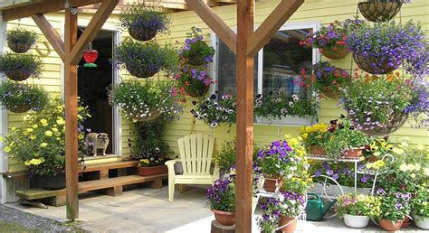 How To Create A Private Outdoor Sanctuary Greenhouse Gardening Tips