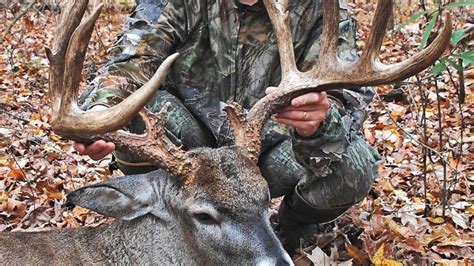 Desoto County Deer Is New State Record Archery Buck