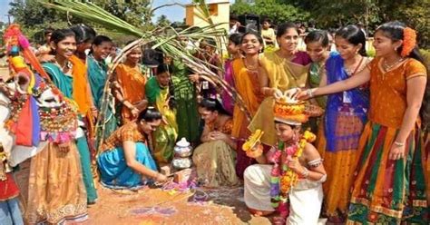 What Is Pongal Festival How To Celebrate Pongal Festival