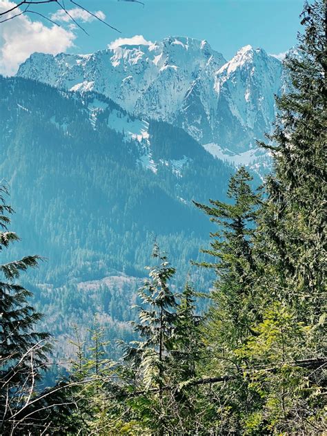 Green Pine Trees Near Snow Covered Mountain During Daytime Photo Free