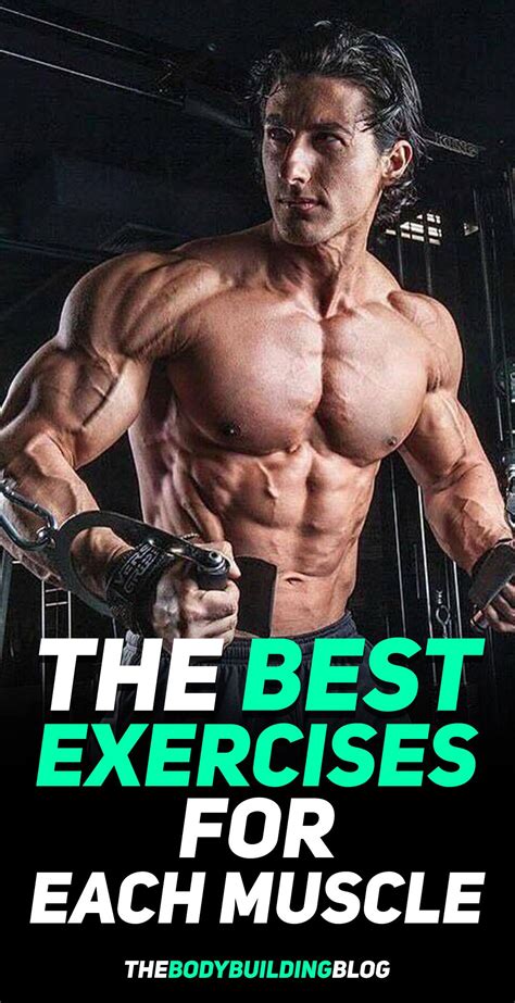 What Are The Best Exercises For Each Muscle Group Thebodybuildingblog