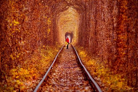 On Twitter Tunnel Of Love Tunnel Of Love Ukraine Cool Places To Visit