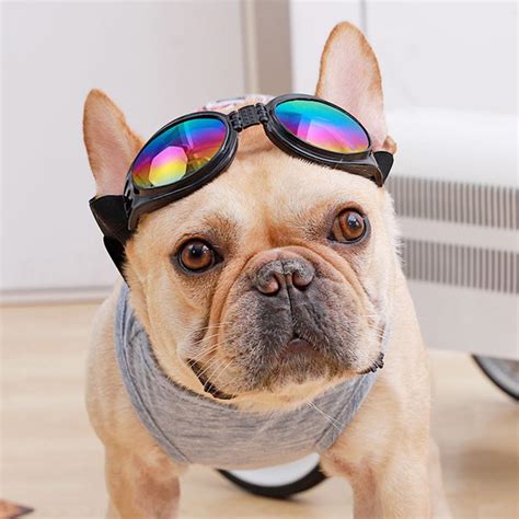 French Bulldog Sunglasses Protection Cute Best Dog Sunglasses