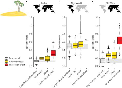Island Colonization And Its Effect On Speciation Rates For Palm
