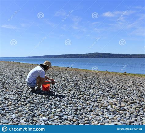 Woman Picking Seashells At The Ocean During Low Tide Stock Image Image Of Shell Woman