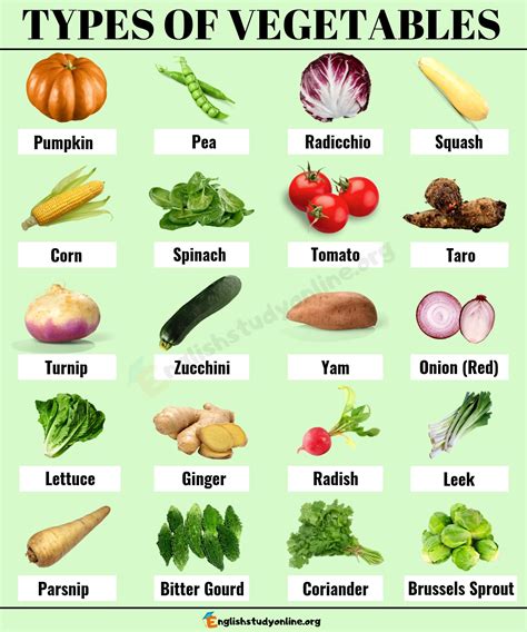 List Of Vegetables 100 Popular Types Of Vegetables In English