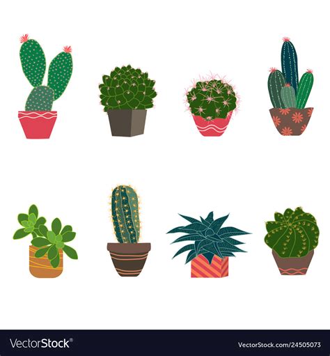 Set Of Cactus And Succulent Plants Royalty Free Vector Image