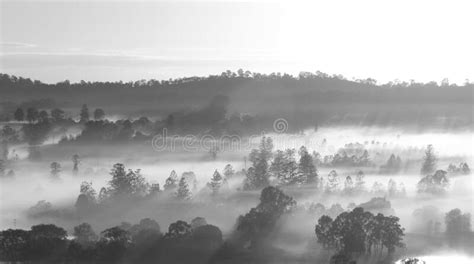 Country Side Fog On Land In Morning Village In Nsw Stock Photo Image