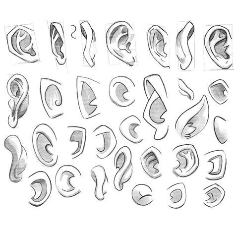 How To Draw Cartoon Ears At How To Draw