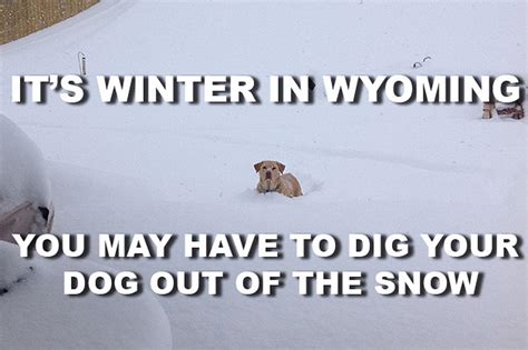 Winter Time Memes That Only A Wyomingite Would Understand Photos