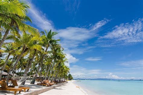 Bohol Beach Club Resort En La Isla De Panglao Bohol Filipinas Fondo