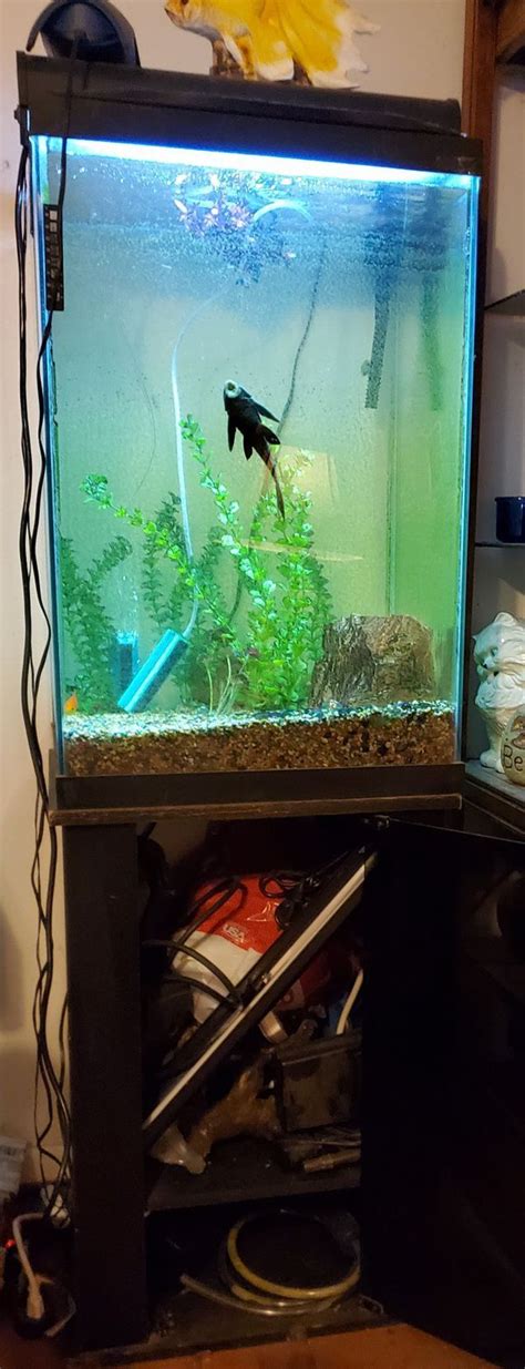 Used Normal Wear This Is A Very Nice Aquarium Its Stand Is Tall So