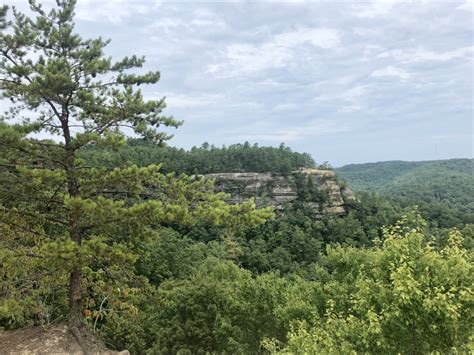 Hiking In The Daniel Boone National Forest HubPages