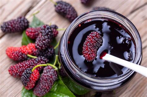 Mulberries Nutrition Facts Health Benefits And More Healthifyme