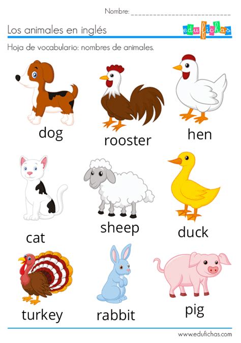 Animales En InglÉs Vocabulario Ejercicios Flashcards Mex Alex